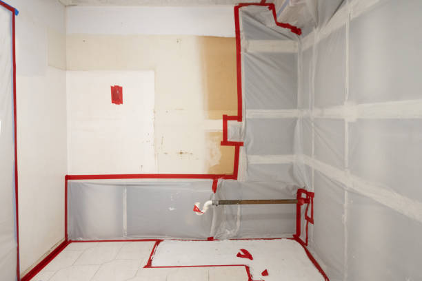 Best Post-Construction Mold Inspection  in Lindale, GA