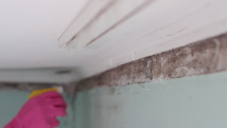 Best HVAC Mold Inspection and Cleaning  in Lindale, GA